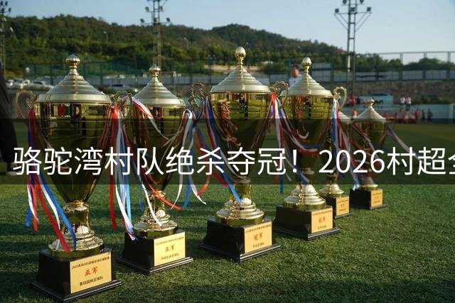 骆驼湾村队绝杀夺冠！2026村超全国赛保定赛区圆满落幕